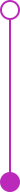 purple connector