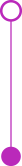 Purple connector