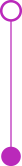 purple connector