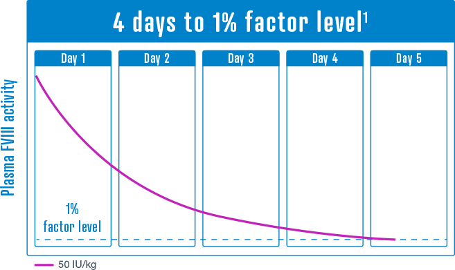 Drug Half Life Chart